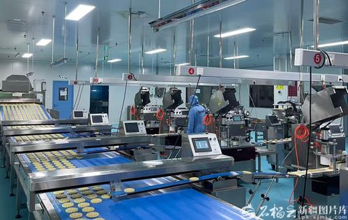 和田月饼 以新疆品质驰骋全国市场，仓储服务保驾护航